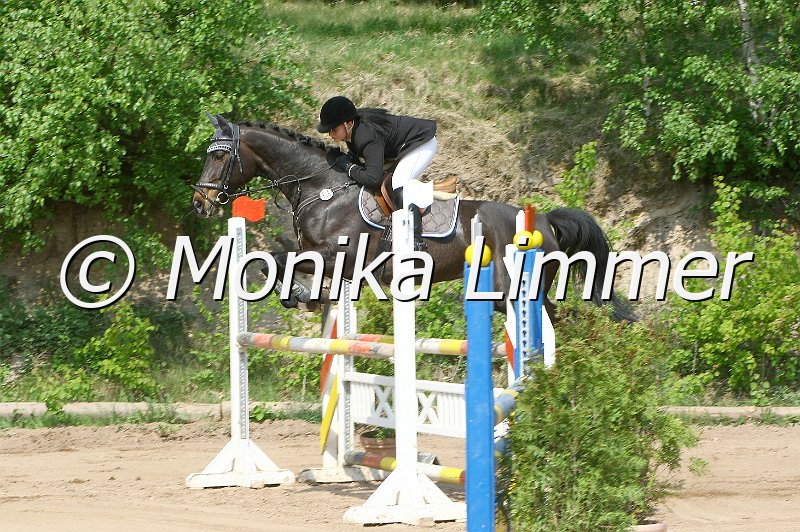 104M6795_e_Roxy_Stil L.jpg